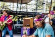 Moonalice-Bottlerock May 9 2013-7<br/>Photo by: Bob Minkin